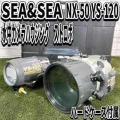 Item thumbnail for item e1c4c825-6f25-49b0-83ed-52262c894926