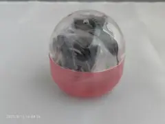 Item thumbnail for item 6667bc41-ac75-4d7d-829d-087de4cff0c7