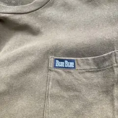 BLUEBLUE ブルーブルー　フルーツオブザルーム　コラボ　Tシャツ M