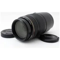 ❤手振れ補正搭載望遠レンズ❤Canon EF 75-300mm IS USM