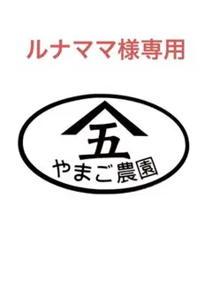 ★ルナママ様専用★