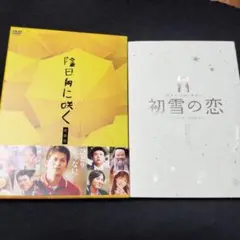 宮﨑あおい DVDセット