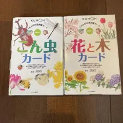 くもんカード9点set 花と木、こん虫、生活道具、こよみ、くだものやさい等 くもんの生活図鑑カード 花と木カード こん虫カード - メルカリ