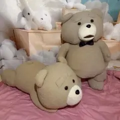 Tedぬいぐるみ
