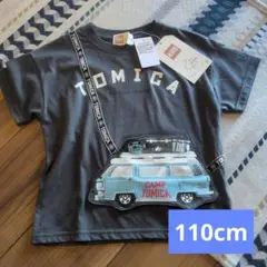 Item thumbnail for item 50bd79f4-0a5e-429a-8393-d4cc2c64e172