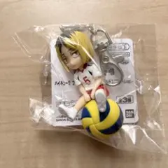 ハイキュー