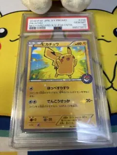 ポンチョを着たピカチュウ（メガリザードンY） PROMO XYシリーズ