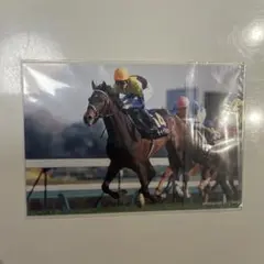 JRA 競馬 ディープインパクト ポストカード 2個セット 皐月賞 新品未使用