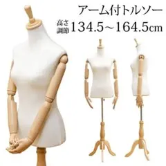 トルソー アーム付き