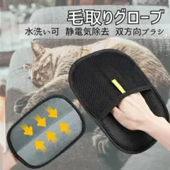 Item thumbnail for item 07815380-a7e5-4264-aa74-40bb0962b0f6