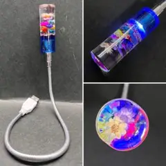 Item thumbnail for item f0b952d5-f159-4f5d-a56a-5d76efd9a4f1