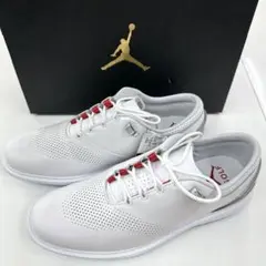 ナイキ JORDAN ADG 4 ジョーダン ゴルフシューズ 新品 25cm