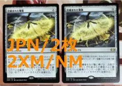 2XM 仕組まれた爆薬/Engineered Explosives MTG