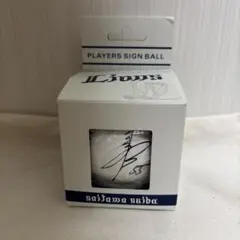 埼玉西武ライオンズ 秋山翔吾　グッズ　ボール