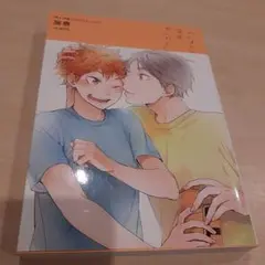 ハイキュー同人誌 菅日 加奈
