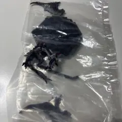 イャンガルルガ　未開封品　スタンダードモデル Plus