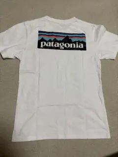 【2、3回着用美品】パタゴニア　白Tシャツ　Mサイズ