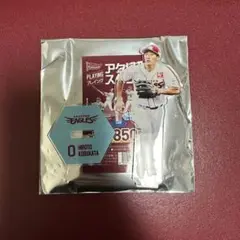 Item thumbnail for item 14fc5972-88ef-40b9-a0c9-3a5237b9d1f6