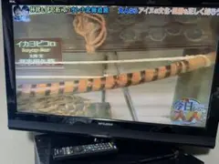 32インチ 液晶テレビ MITSUBISHI REAL LCD-32MX45