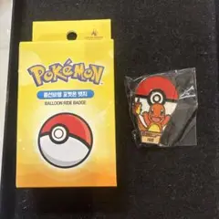 【新品】韓国 ロッテワールド 限定　ポケモンコラボ　ピンバッジ ヒトカゲ