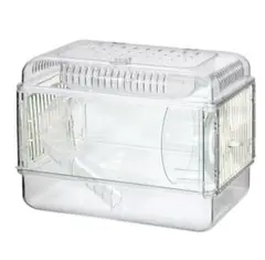 Item thumbnail for item 99c94465-9ee2-44fd-947a-b5088cf9ed39