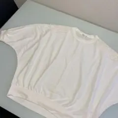 ESSEME ホワイト Tシャツ M