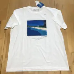 ユニクロ　Hiroshi Nagai Tシャツ XL 白　ホワイト　永井博