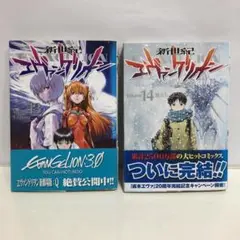 【初版】新世紀エヴァンゲリオン 13巻・14巻セット　チラシ　ハガキ付き