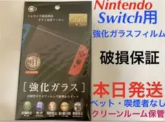 ニンテンドースイッチ保護ガラスフィルム Switch 9H 任天堂tk