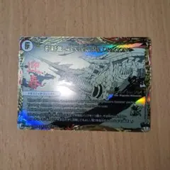 2025年最新】デュエルマスターズ邪新年の人気アイテム - メルカリ