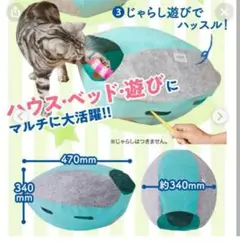 Item thumbnail for item 4d59130c-c22b-4e56-805d-f0a64b4e66d7