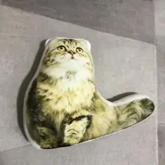 ネコ　クッション