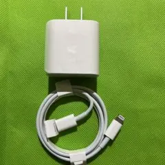 Apple Lightningケーブル ACアダプタ セット