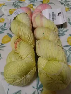 amirisu様 Trek Handdyed ほーほけきょ 2かせ