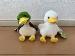 ぺたぺたアヒル隊