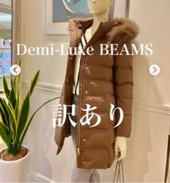 Demi-Luxe BEAMS FOXファーフードダウン