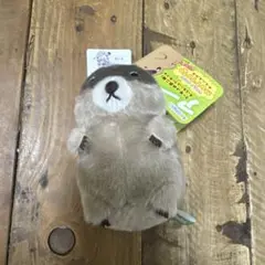 マーモットのもっとっとモア LMCぬいぐるみマスコット チャンキー