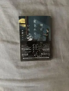 神に愛されていた 小説