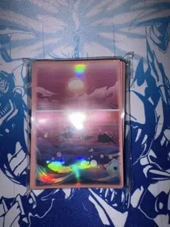 ふわんだりぃず スリーブ