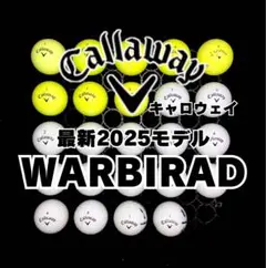 6※最新2025モデル キャロウェイ WARBIRD 他 ロストボール24球