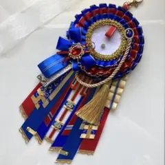 【6】痛ロゼット　ブルー＆レッド