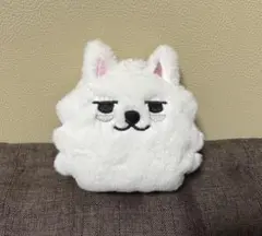 TXT スビン ポップアップ ヨンモン コインポーチ