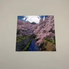 ポスター