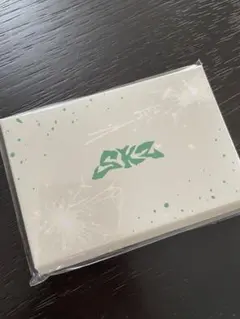 StrayKids Hollow フォトカードセット