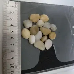 半透明 小石 16個