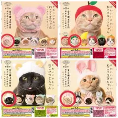 Item thumbnail for item fac5126c-56d2-47be-b3df-bd04bdb6aa7a