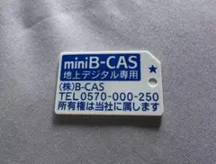 Item thumbnail for item c10b6afc-58f6-4e30-89b3-24906d343588