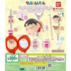 クレヨンしんちゃん つまんでつなげて ますこっと シロ＆ひまわりマスコットセット