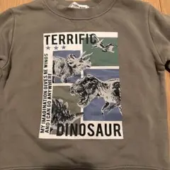 Item thumbnail for item 8215263a-6292-45e4-b117-1468648c312e