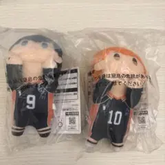 ハイキュー1番くじ D賞 ちょこのっころんぬいぐるみ